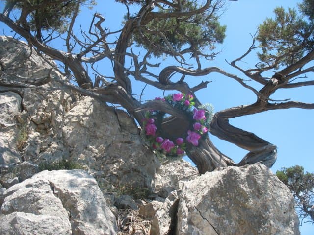 Последние дни — фото 6