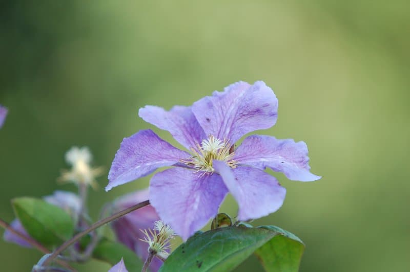Днепрорудное — фото 1