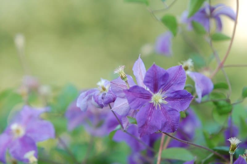 Днепрорудное — фото 2