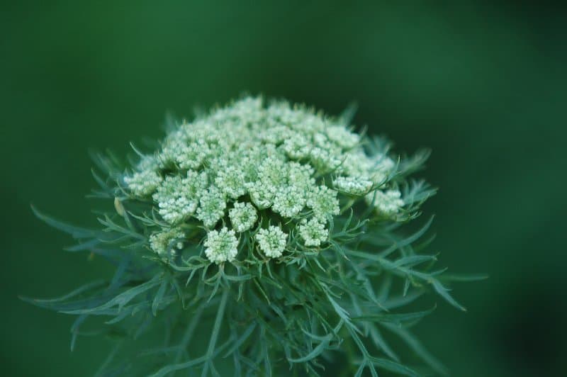 Днепрорудное — фото 3