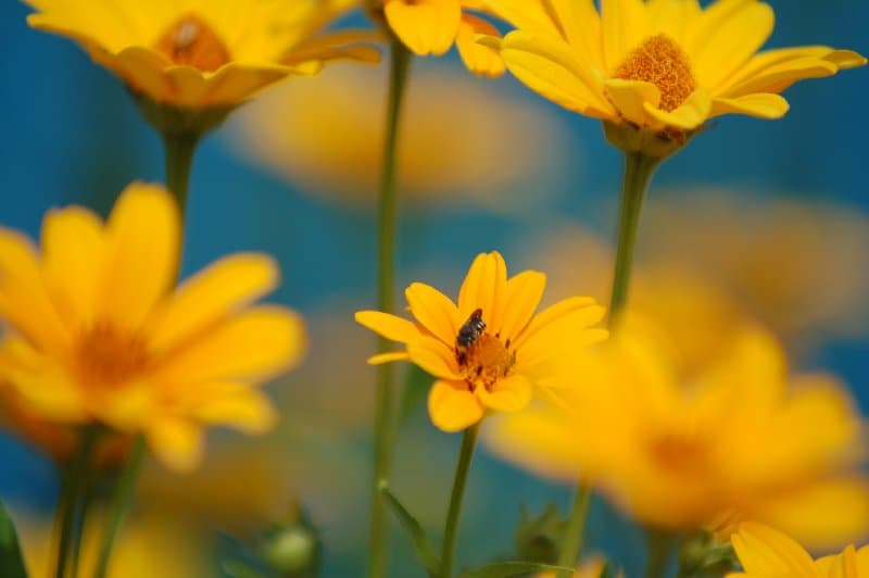 Днепрорудное — фото 15