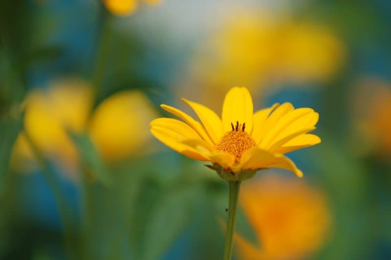 Днепрорудное — фото 16