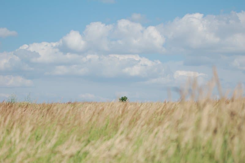 Днепрорудное — фото 17