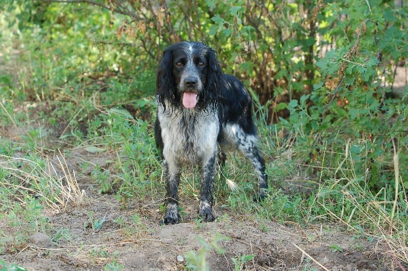 Каховка — фото 2