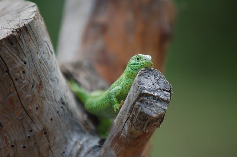 Каховка — фото 3