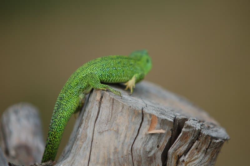 Каховка — фото 4