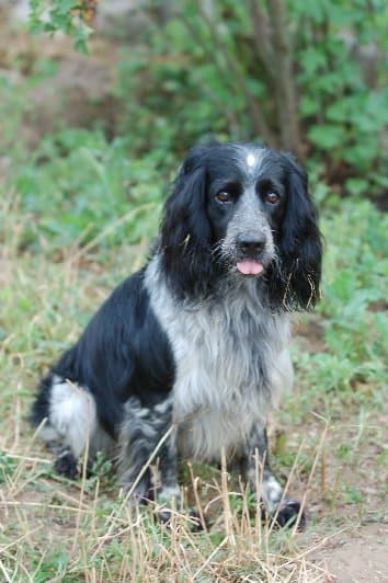 Каховка — фото 7