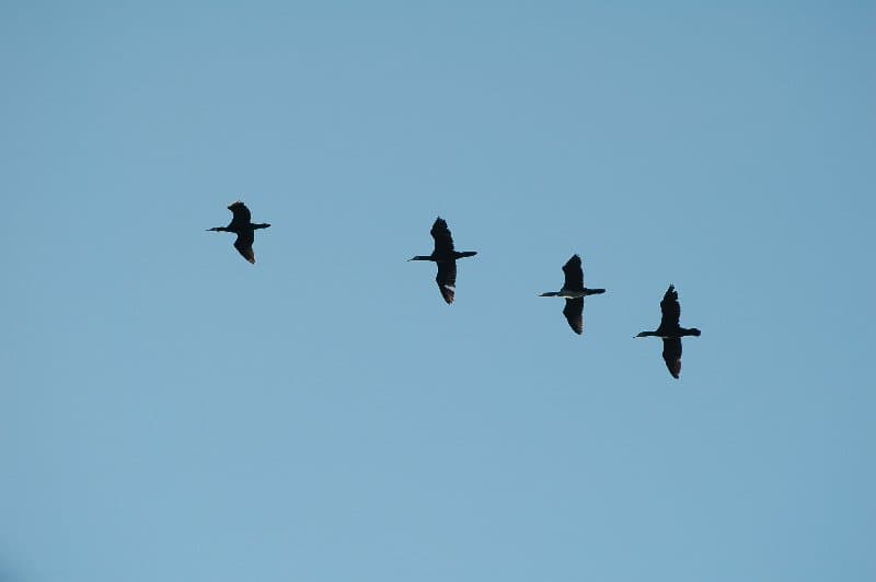 Каховка — фото 8