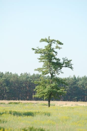 Каховка — фото 10