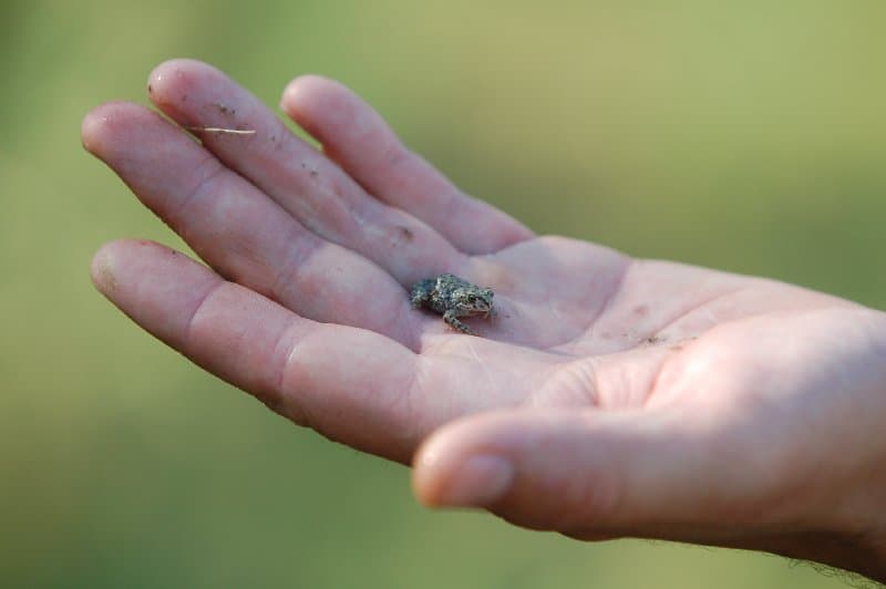 Каховка — фото 11