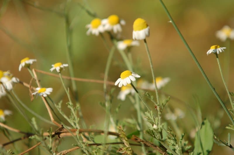 Каховка — фото 12