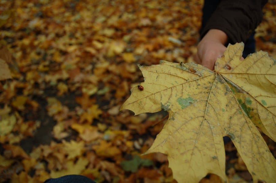 Харьков — фото 19