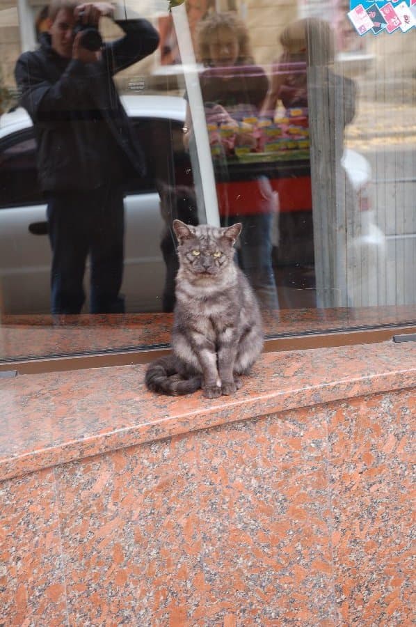 Харьков — фото 26