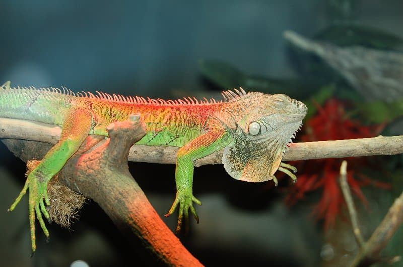 Киевский Зоопарк — фото 1