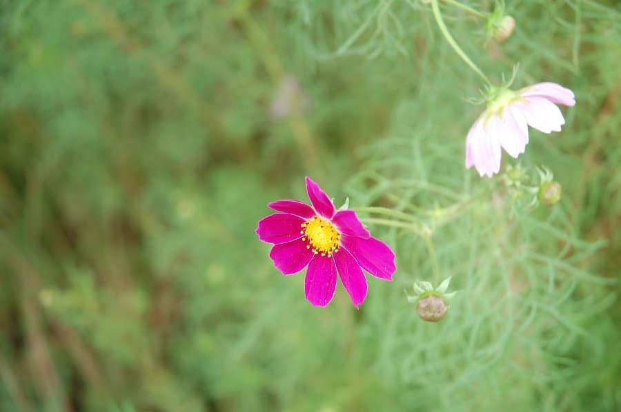 Коктебель — фото 12