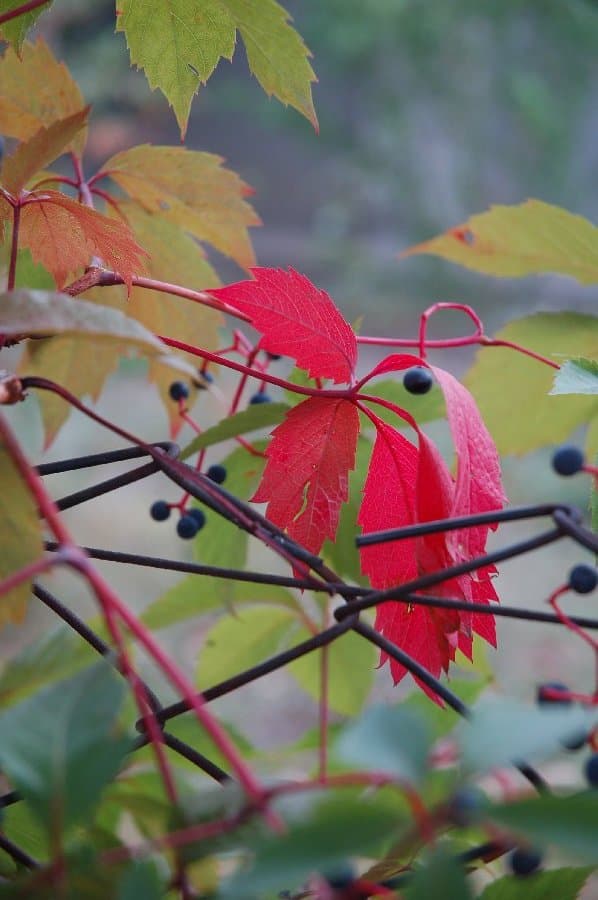 Коктебель — фото 13