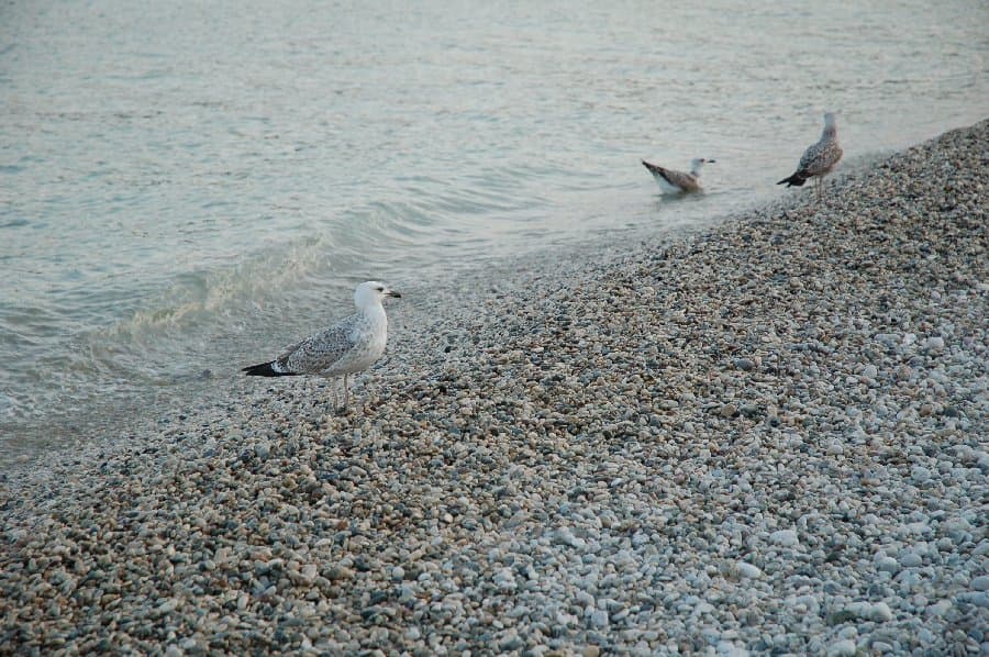 Коктебель — фото 22