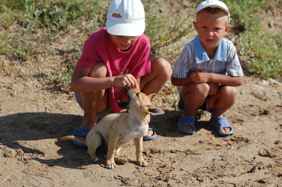 Скадовск — фото 3