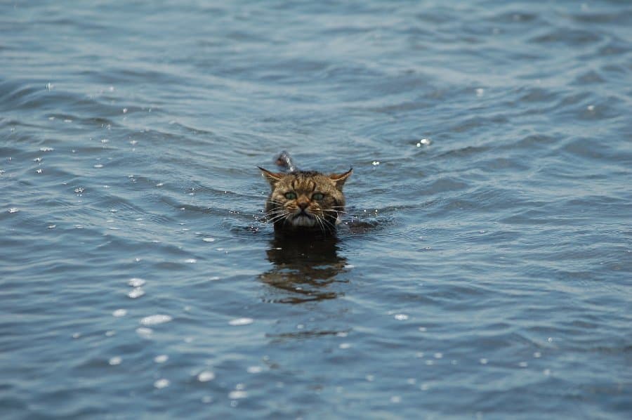 Скадовск — фото 5