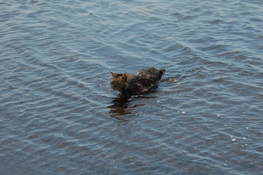 Скадовск — фото 6