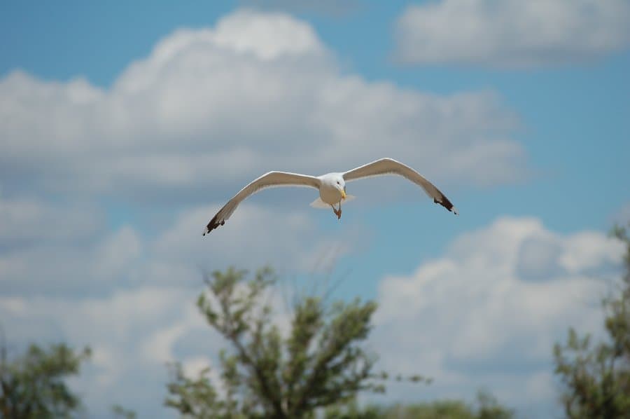 Скадовск — фото 7