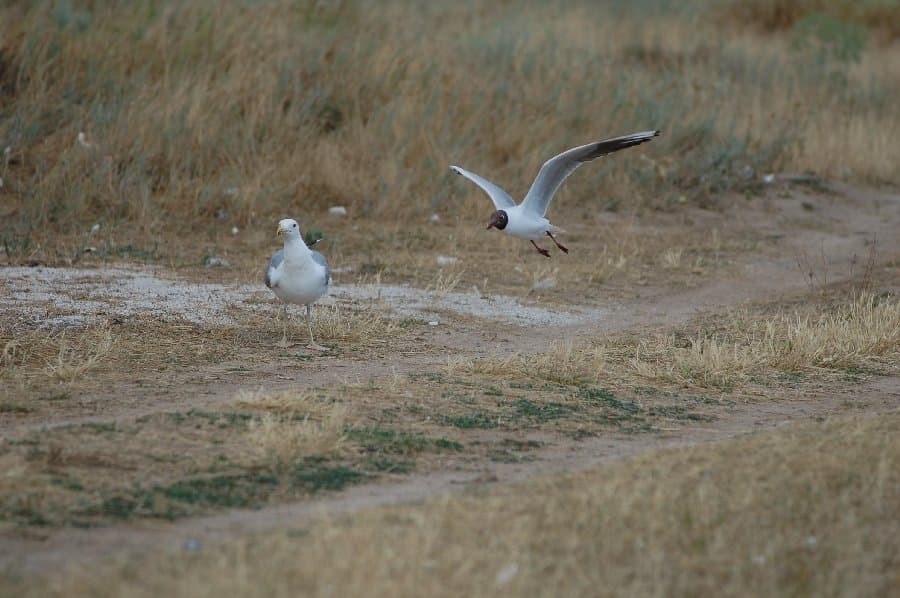 Скадовск — фото 8