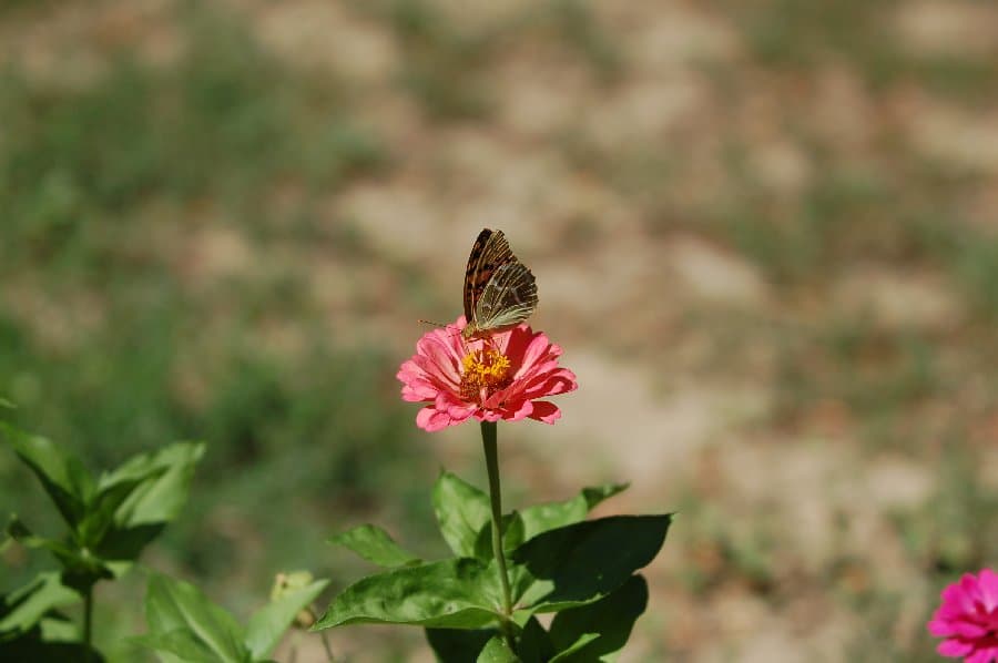 Скадовск — фото 12