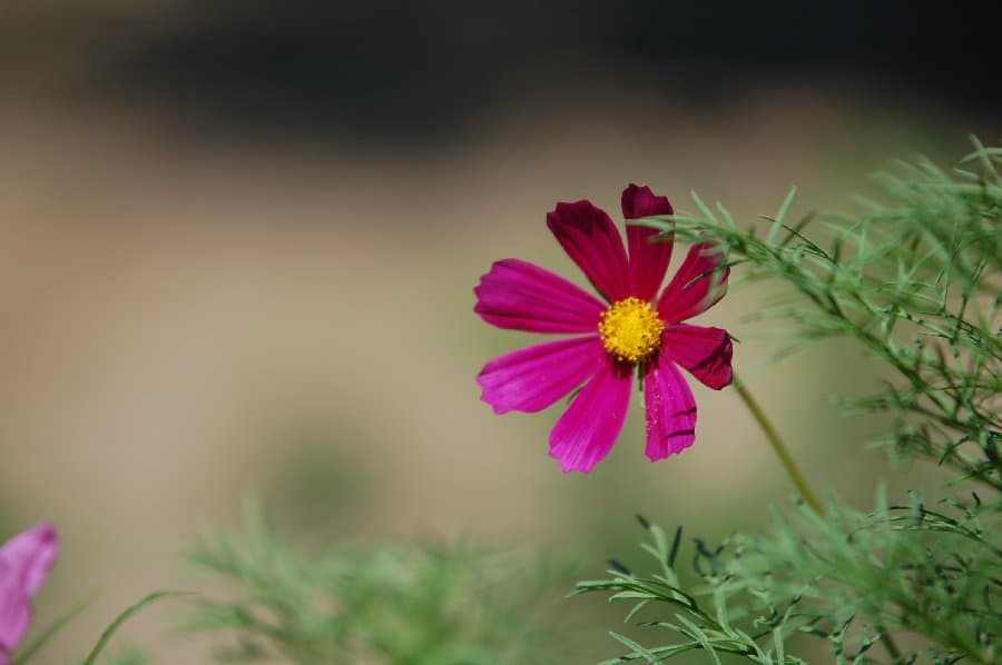 Скадовск — фото 13