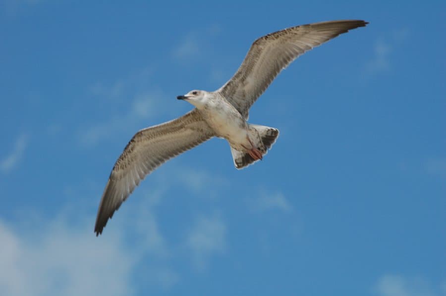 Скадовск — фото 14