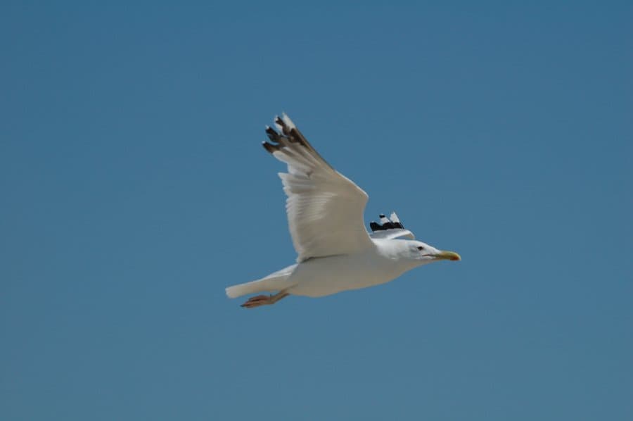 Скадовск — фото 16