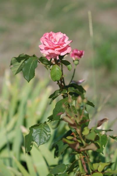 Скадовск — фото 19