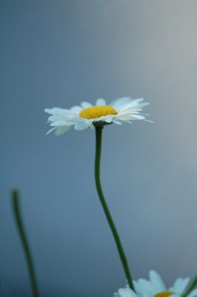 Скадовск — фото 20