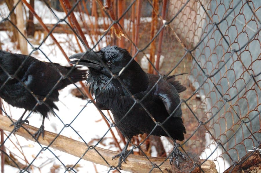 Прогулка по Киеву — фото 6