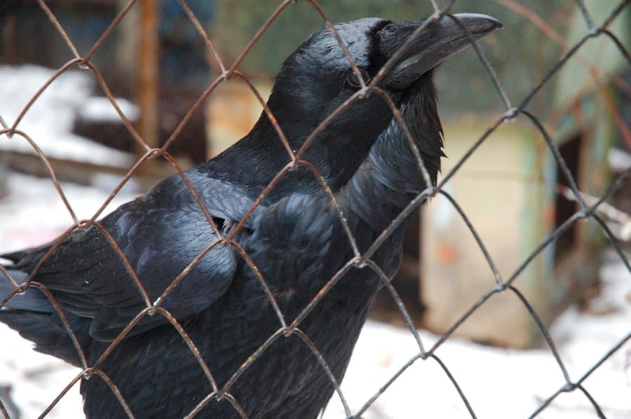 Прогулка по Киеву — фото 7