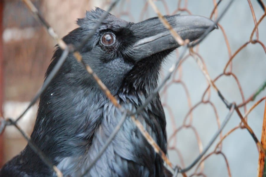 Прогулка по Киеву — фото 8