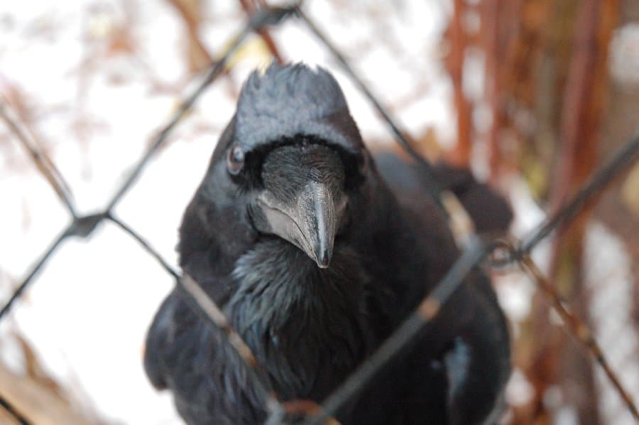 Прогулка по Киеву — фото 9