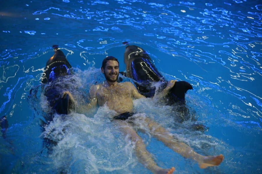 Дельфинарий — фото 5