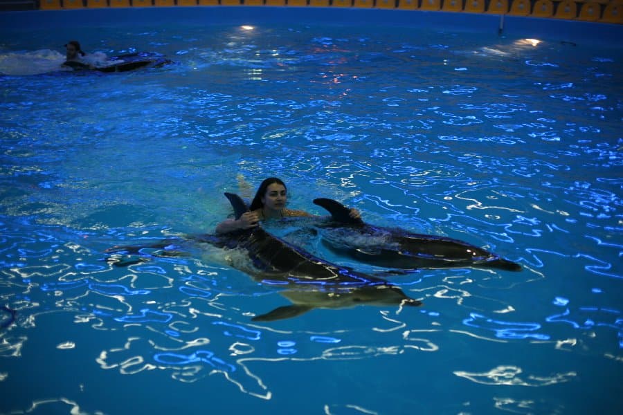 Дельфинарий — фото 6