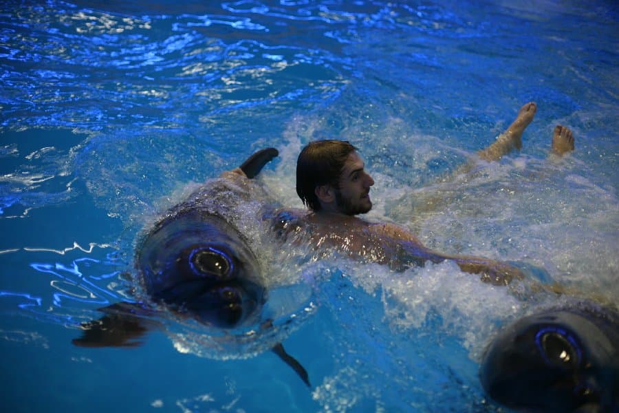 Дельфинарий — фото 7