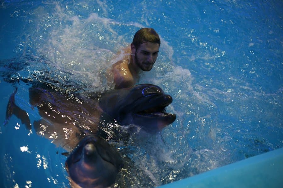 Дельфинарий — фото 8