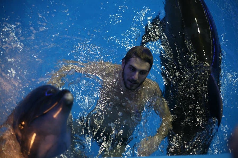 Дельфинарий — фото 9