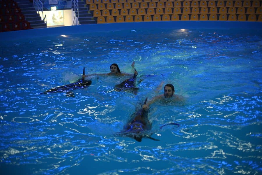 Дельфинарий — фото 11