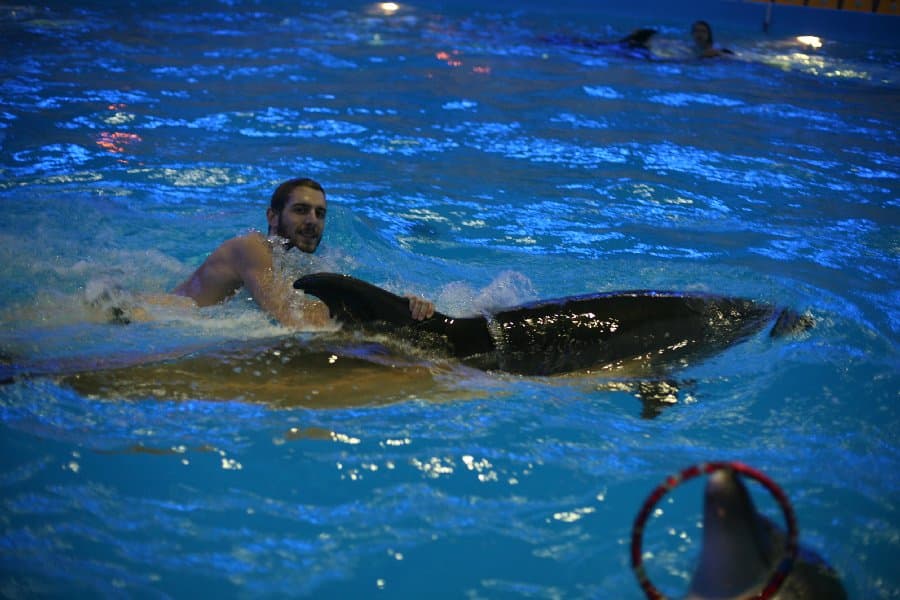 Дельфинарий — фото 17