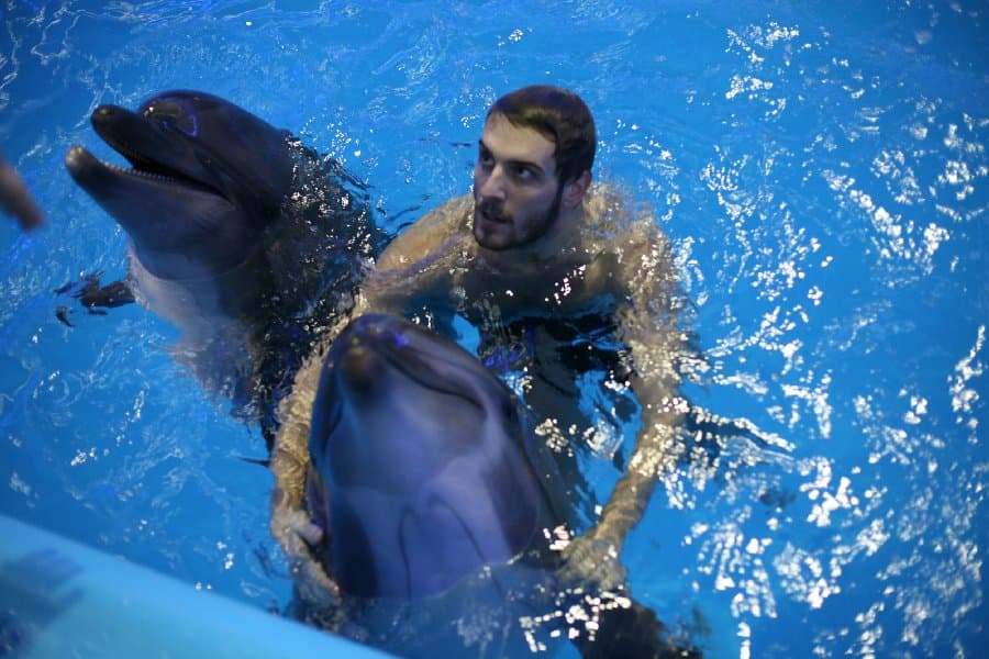 Дельфинарий — фото 18