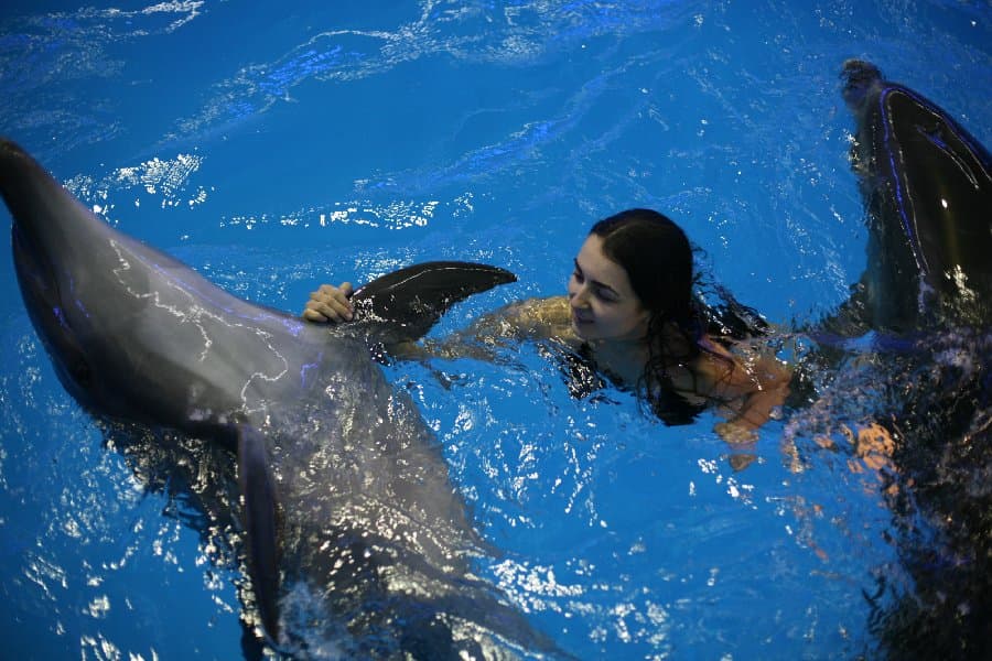 Дельфинарий — фото 19