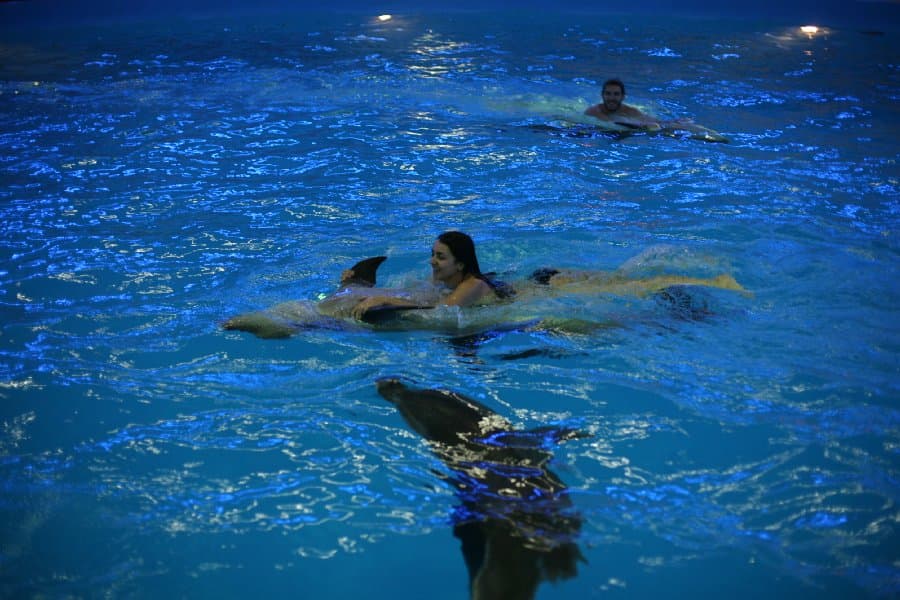 Дельфинарий — фото 20