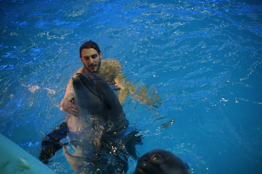 Дельфинарий — фото 21