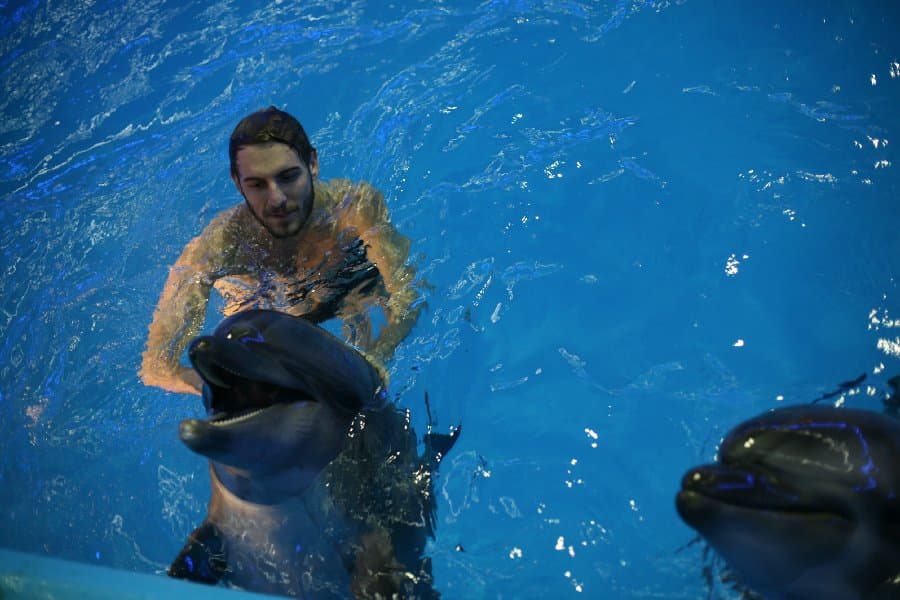 Дельфинарий — фото 22