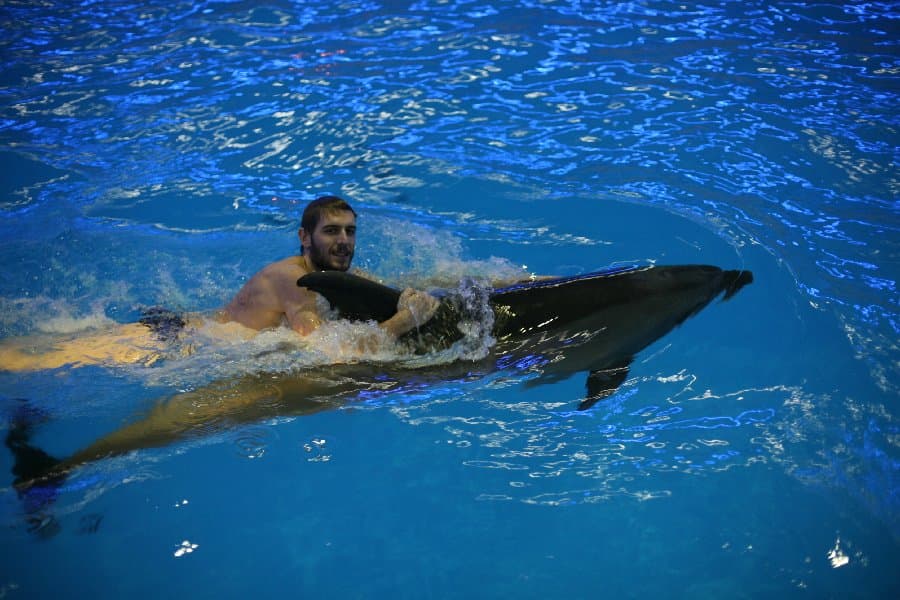 Дельфинарий — фото 24