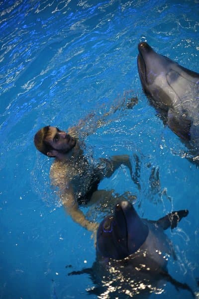 Дельфинарий — фото 28